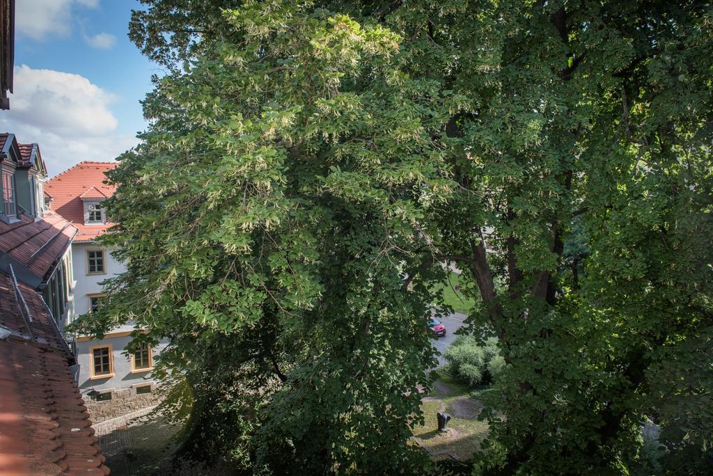 "Goethezimmer" Ferienwohnung Und Zimmer Am Burgplatz Веймар Екстер'єр фото